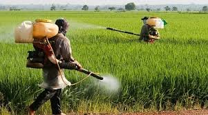 Agriculture & Crop Protection
